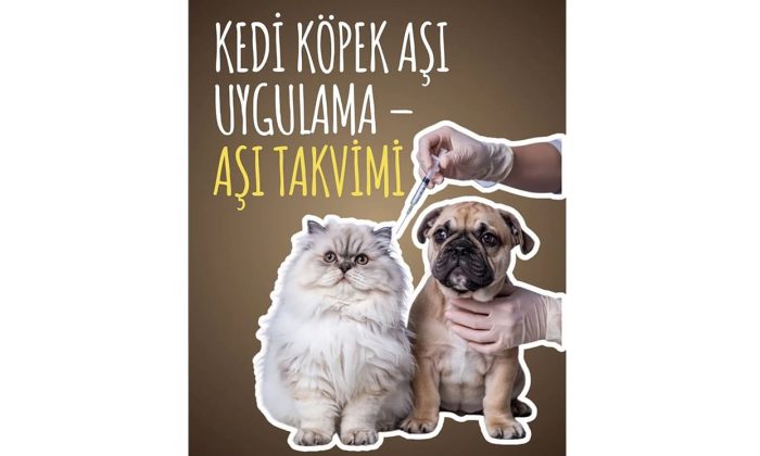 Kedi Köpek Aşı Uygulama – Aşı Takvimi