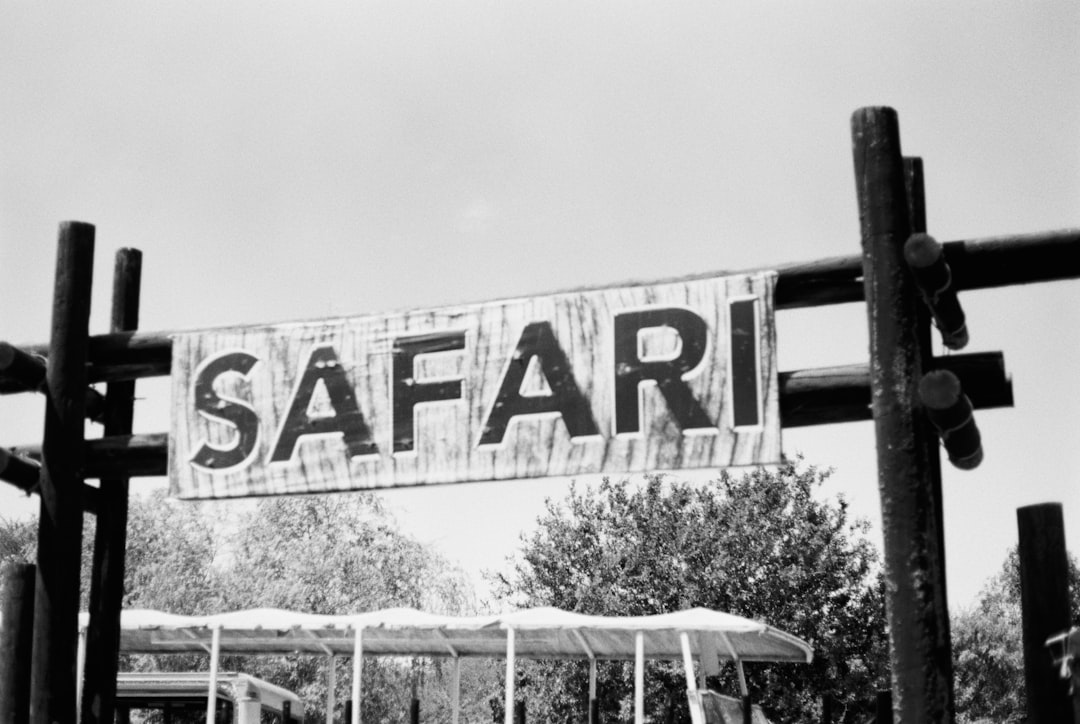 Haydi, Marmaris At Safari ile Muhteşem Bir Maceraya Hazır Olun!